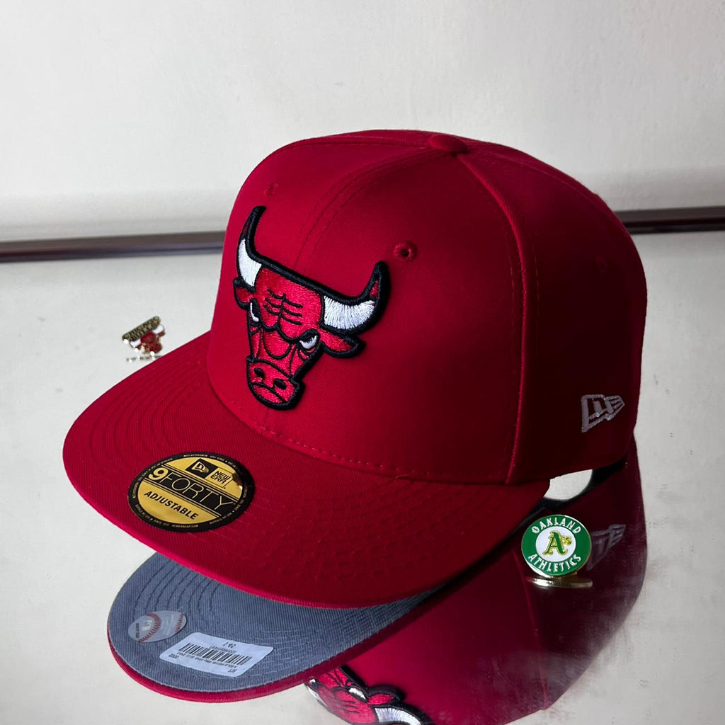 CHICAGO BULLS