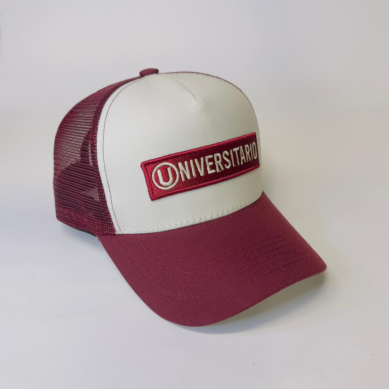 UNIVERSITARIO