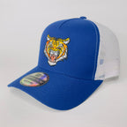 TIGRE