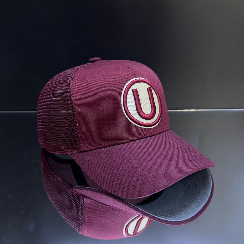 UNIVERSITARIO