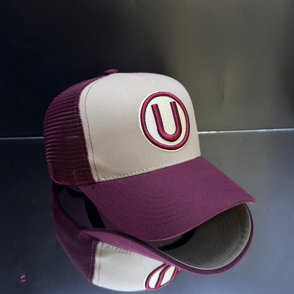 UNIVERSITARIO
