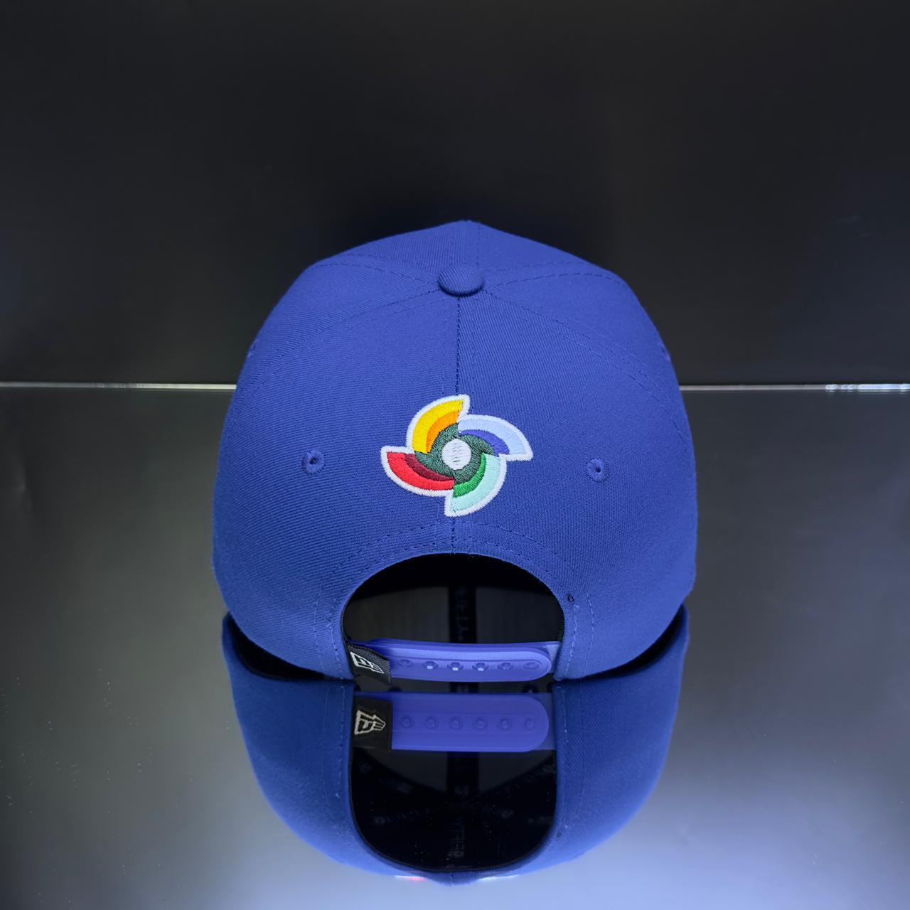 VENEZUELA CAMPEONES