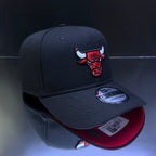 CHICAGO NEGRO