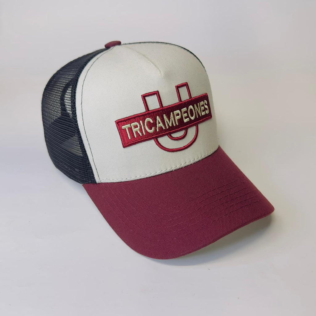 UNIVERSITARIO TRICAMPEON